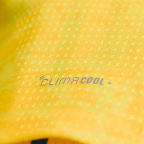 CAMISETA DE COLOMBIA AFICIONADO